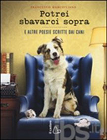 SBAVARCI
